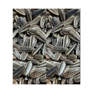 Double Stripe Sunflower Seeds