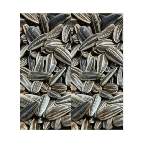 Double Stripe Sunflower Seeds