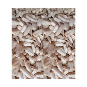 White Sunflower Seeds